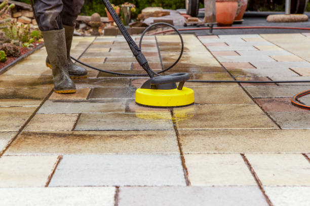 Best Rust Removal  in Wliamsvle, IL